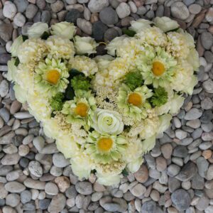 Hart wit middelgroot